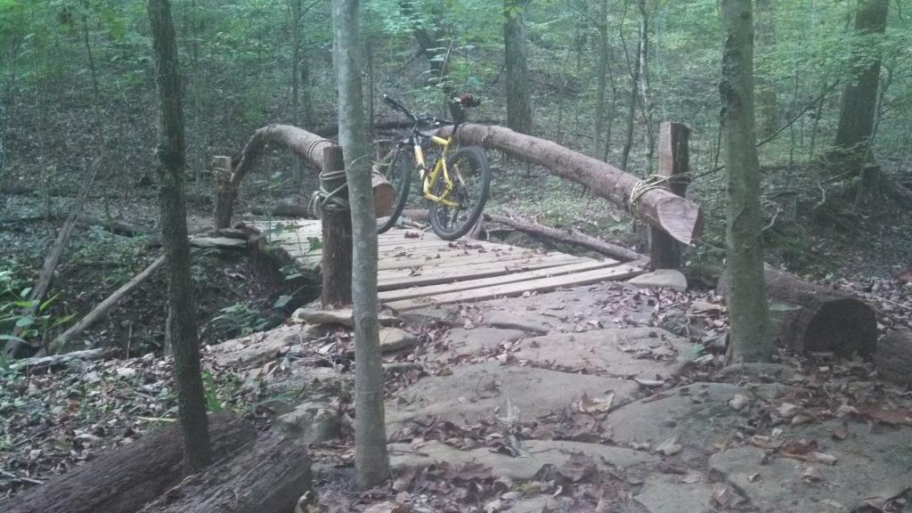 A wooden bridge made from logs and planks spans a small ravine in a forested area. A mountain bike is parked on the bridge, surrounded by lush green trees and fallen leaves on the ground. The scene captures a serene and rugged natural setting, ideal for outdoor biking and exploration. Skullbuster mountain bike trail.