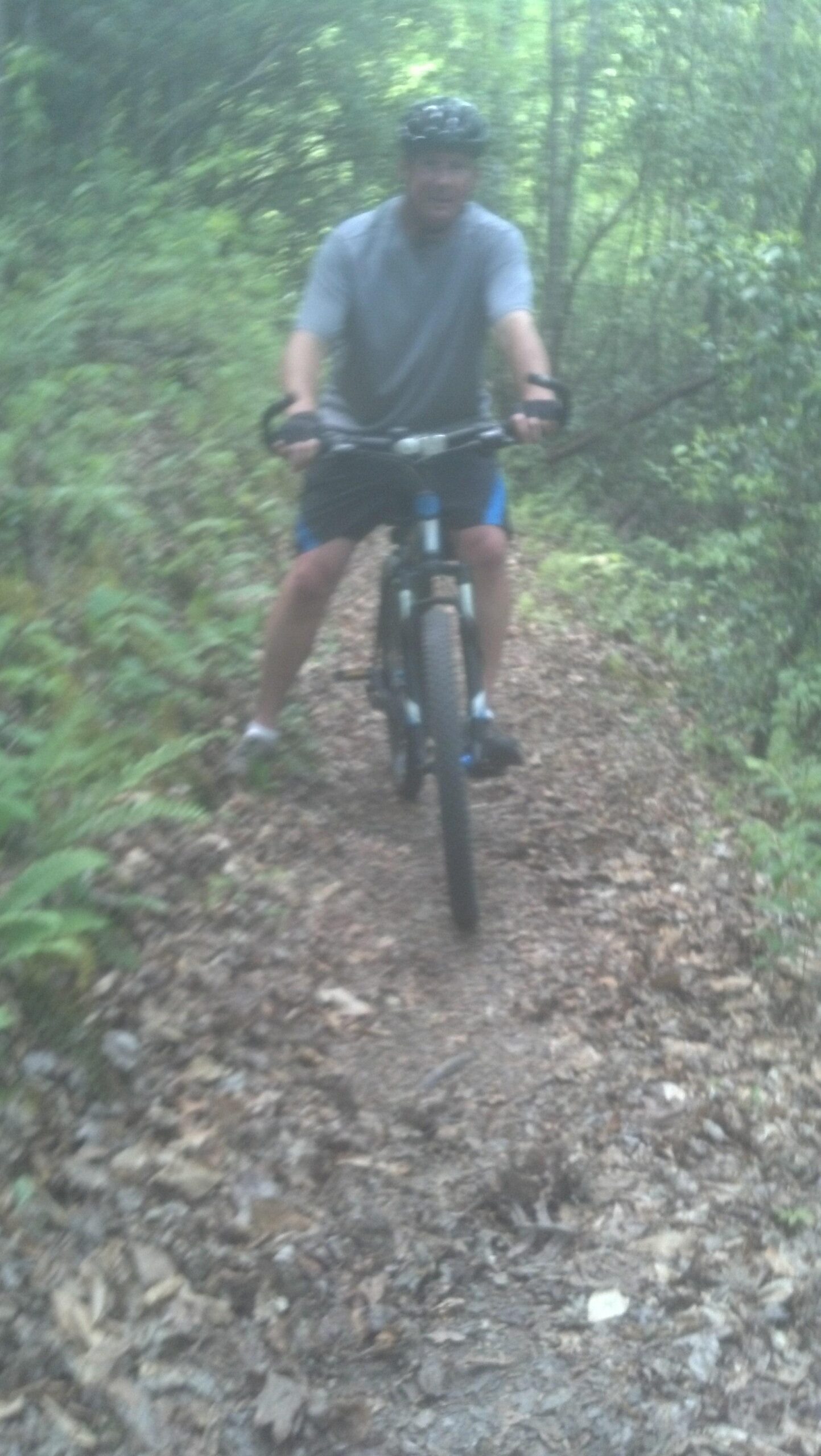 Trek 4300: A person wearing a helmet is riding a mountain bike on a leafy, narrow trail surrounded by greenery in a forested area. The image is slightly out of focus but captures the essence of outdoor biking and nature.