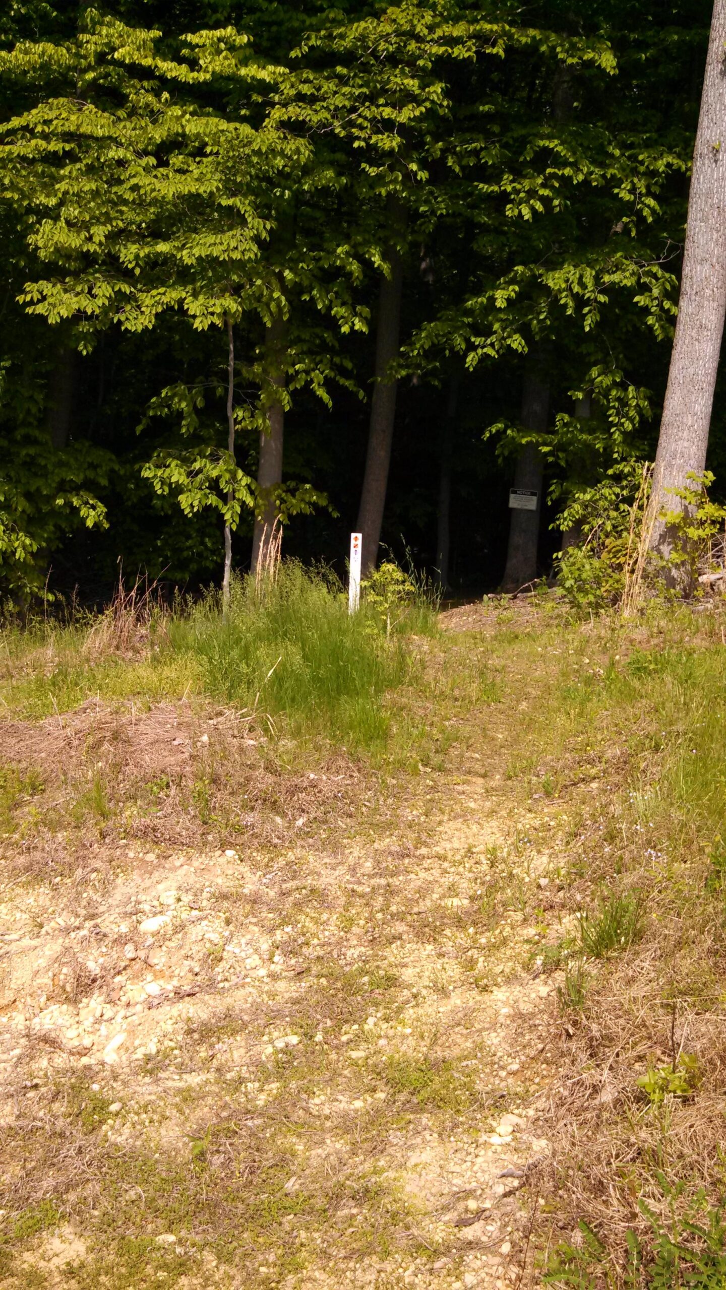 Cosca Regional Park Mountain Bike Trail in Clinton, Maryland