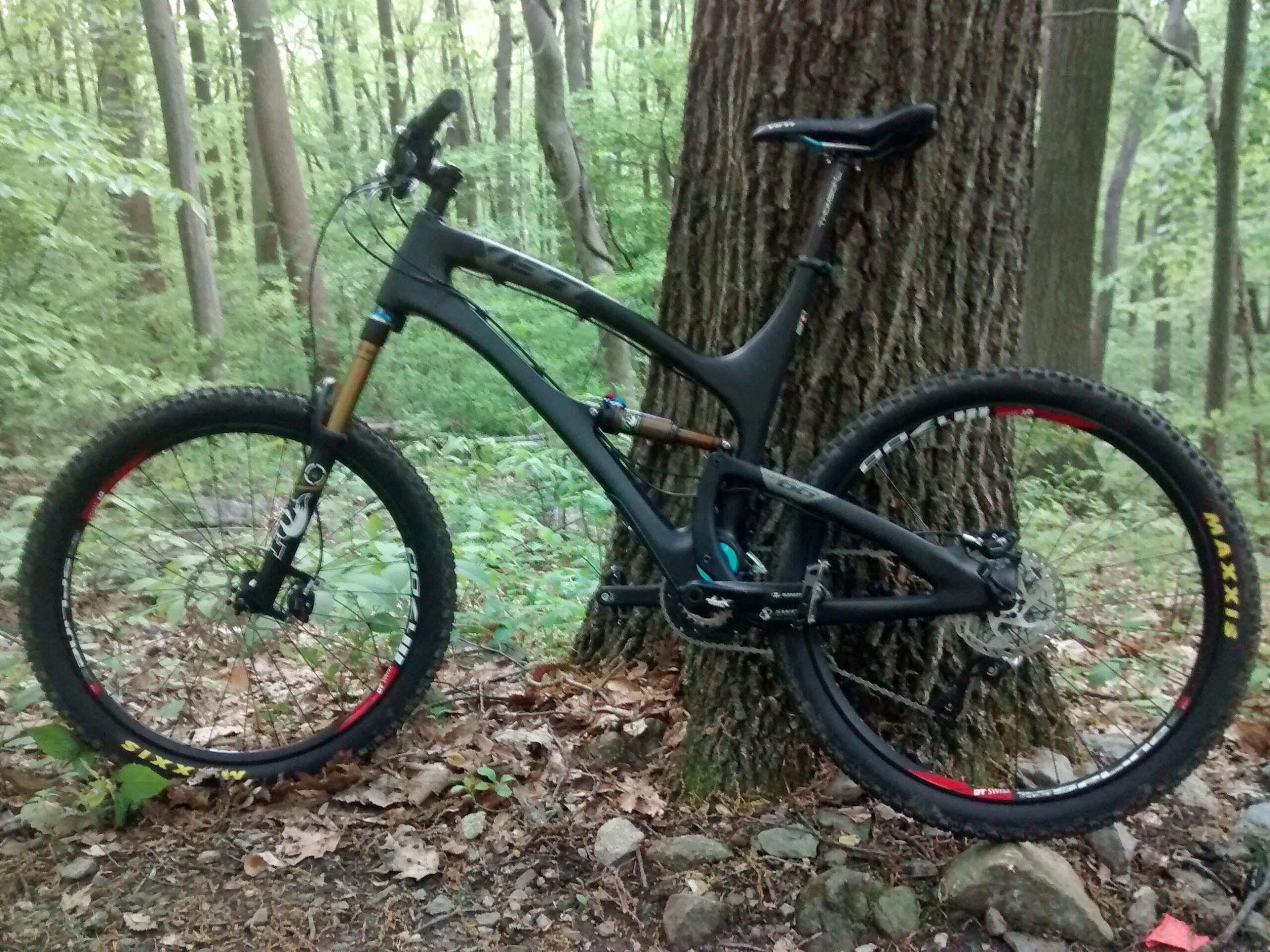Yeti SB66c: A mountain bike leaning against a tree in a forested area, surrounded by green foliage and scattered leaves. The bike features a sleek black frame, prominent tires with colored accents, and a mountainous terrain visible in the background.