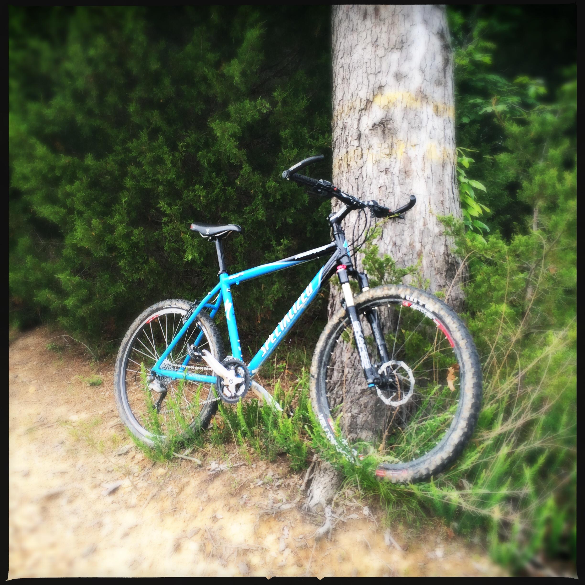 A blue mountain bike is leaning against a tree in a forested area, with green bushes and dirt visible in the background. The bike features mountain tires and a sturdy frame, suitable for off-road riding. Green River mountain bike trail.