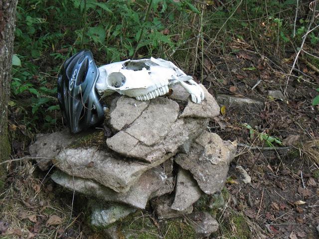 A bicycle helmet resting on top of a pile of stones, next to a skull, surrounded by foliage in a wooded area. Skullbuster mountain bike trail.