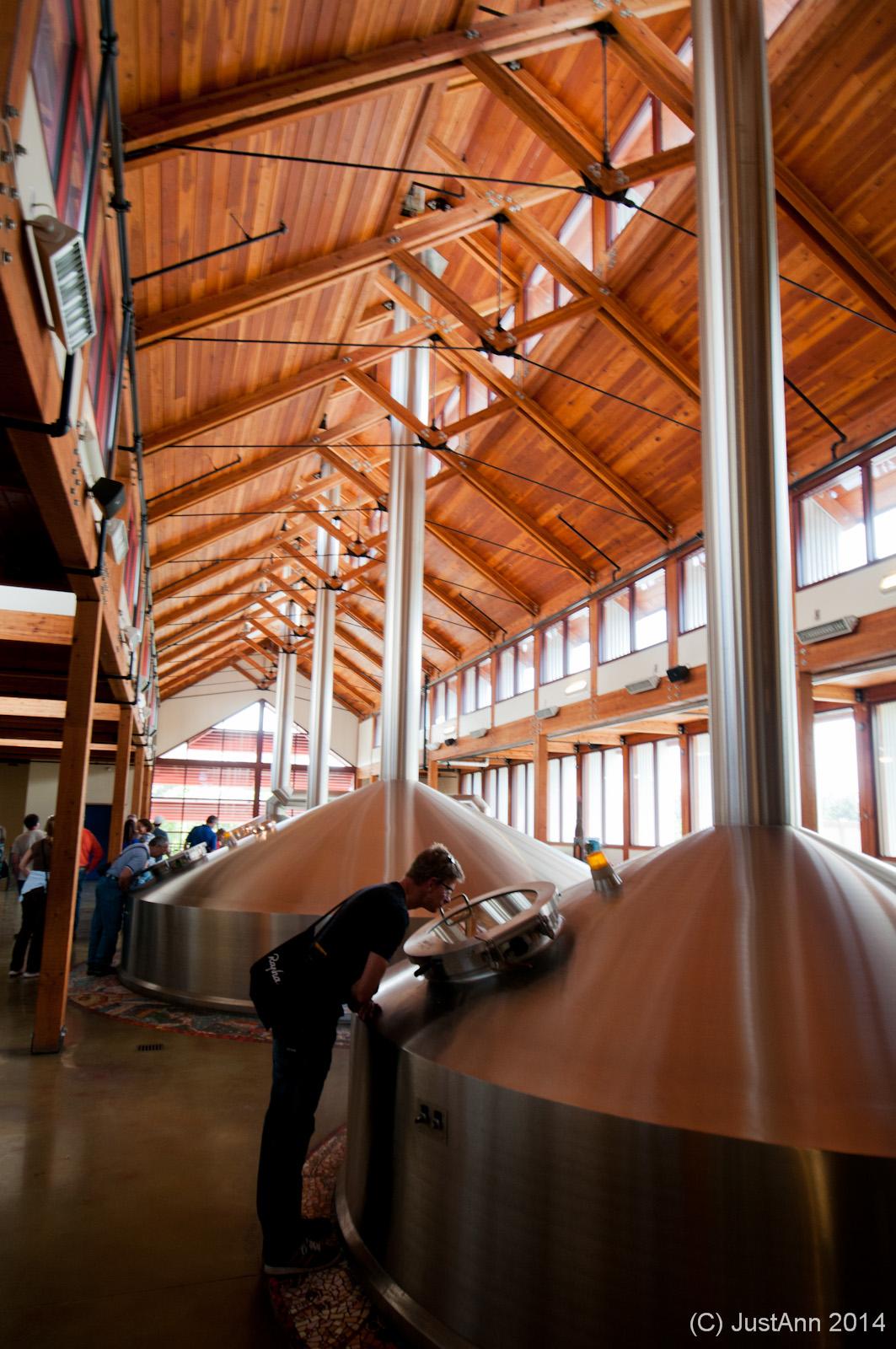 A spacious brewery interior featuring large, stainless steel fermentation tanks. A person leans over one of the tanks, inspecting the contents, while others observe nearby. The building has high wooden ceilings with large windows, allowing natural light to fill the space.