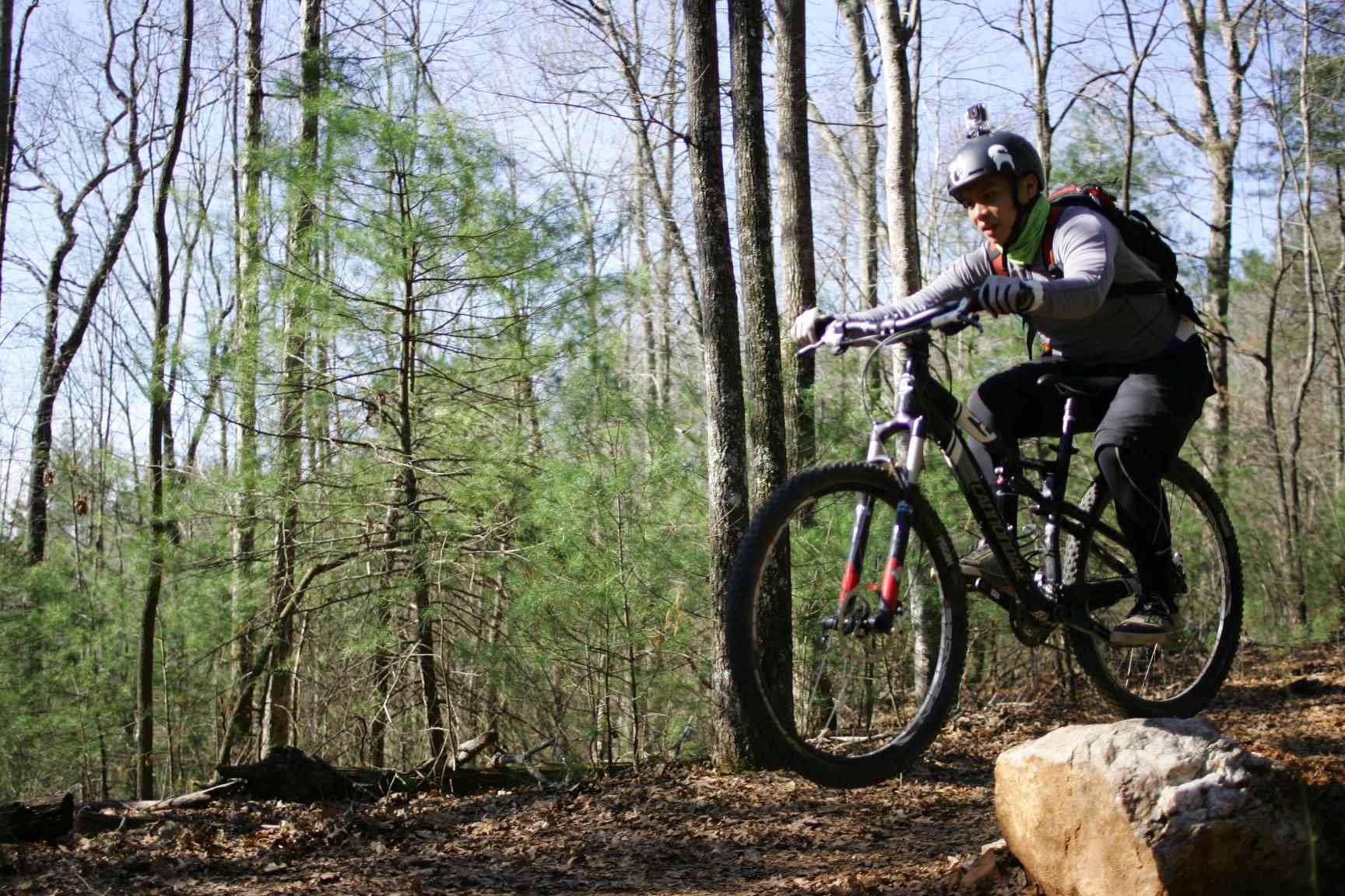A mountain biker in protective gear navigates a wooded trail, airborne over a large rock, with trees and greenery in the background. Dark Mountain Trail mountain bike trail.