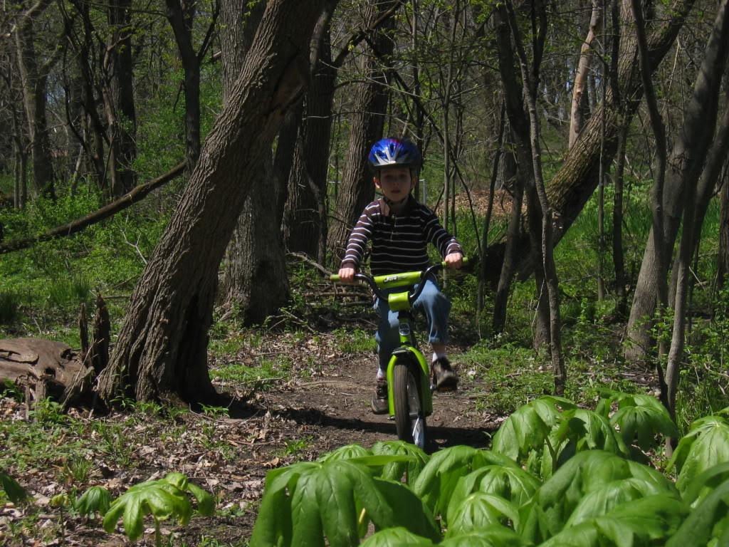 A child wearing a blue helmet rides a green balance bike on a dirt path surrounded by trees and lush green foliage in a forested area.