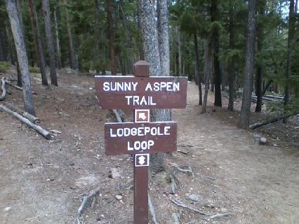 Wooden trail sign indicating directions for "Sunny Aspen Trail" and "Lodgepole Loop," surrounded by trees in a natural setting. Meyer Ranch Park mountain bike trail.