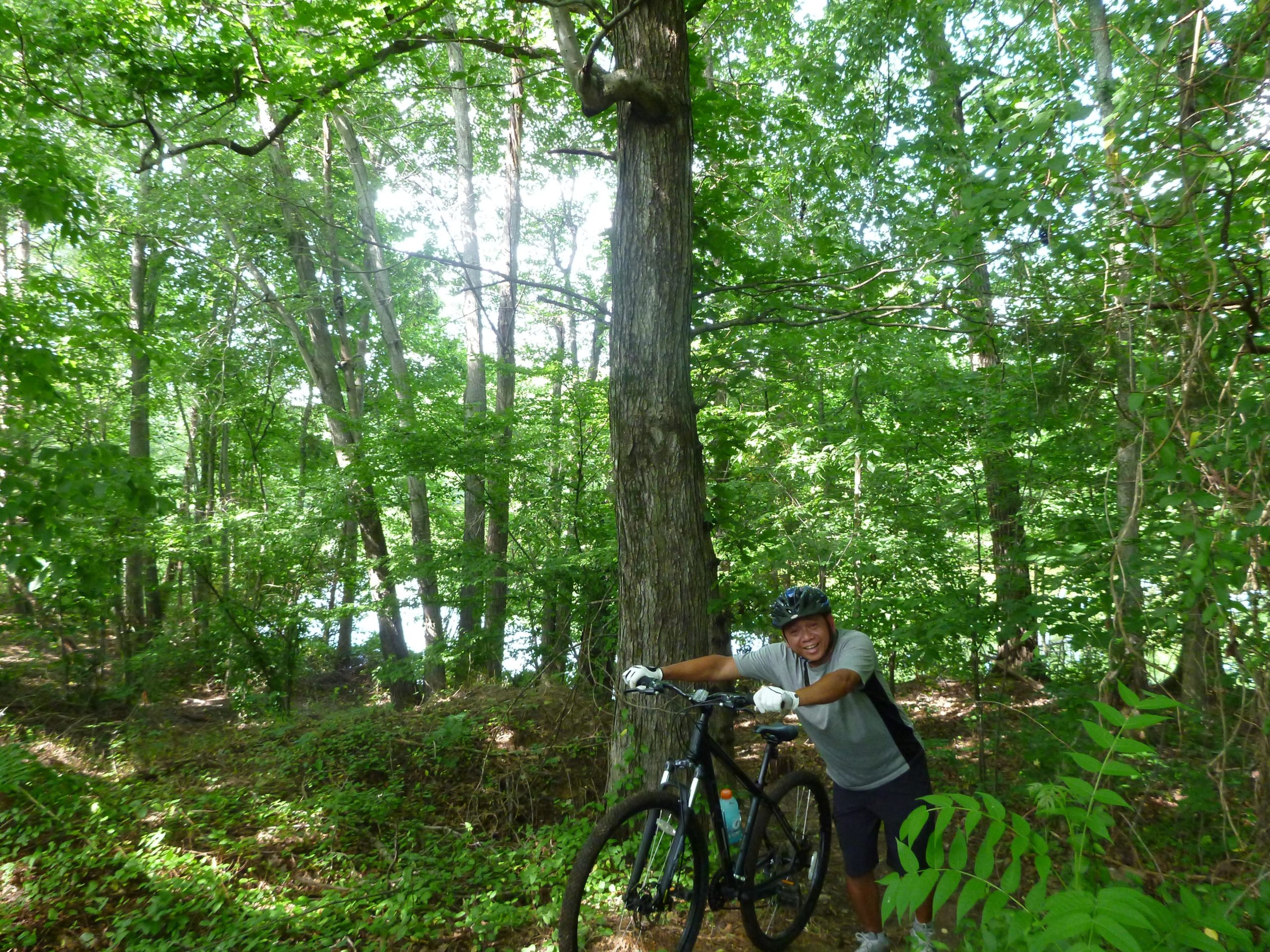 A person smiling while holding a mountain bike near a large tree in a dense, green forest. Sunlight filters through the leaves, creating a bright, natural atmosphere. A body of water is visible in the background. Big Loop mountain bike trail.
