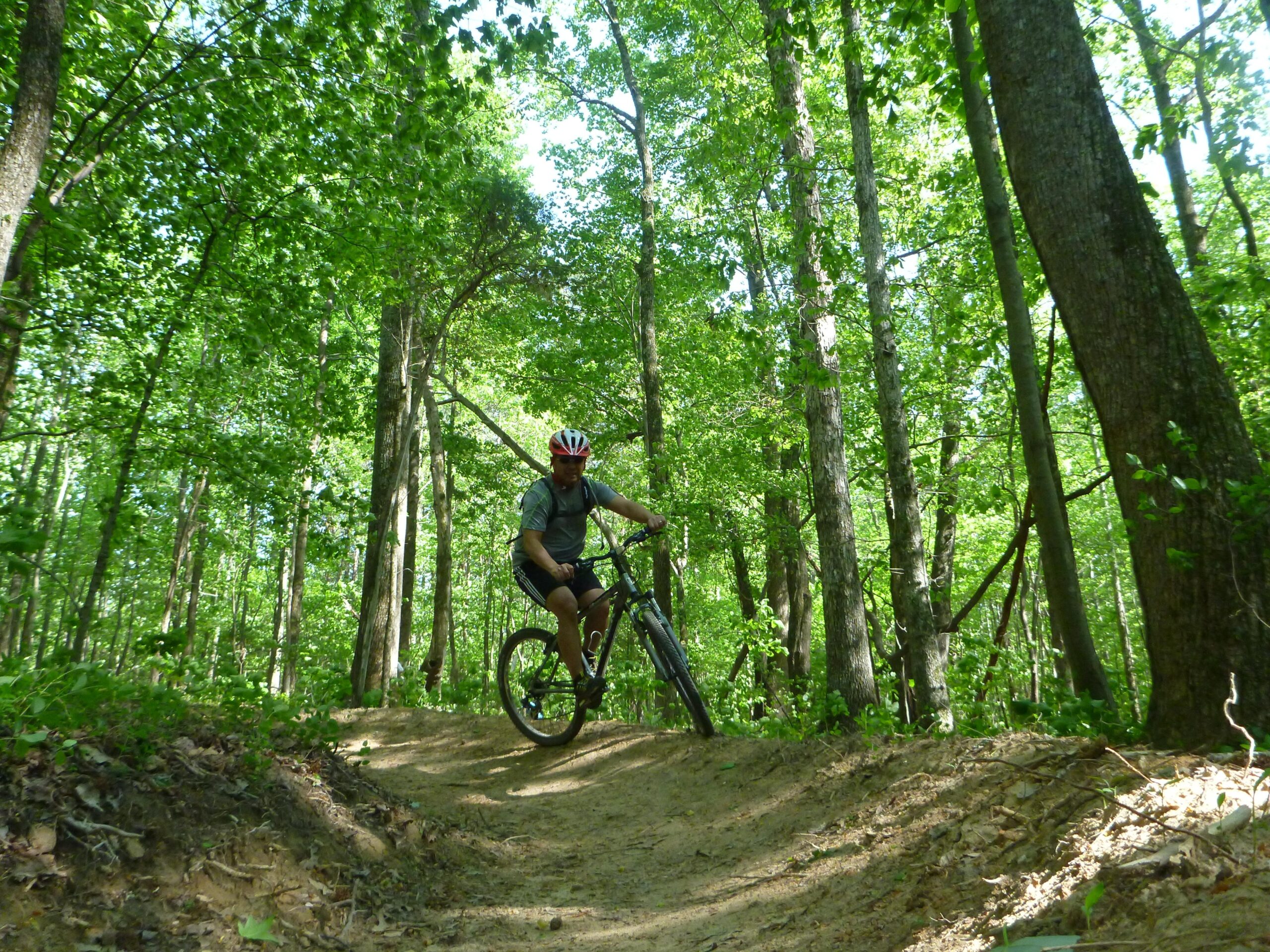 A mountain biker navigating a dirt trail in a lush green forest, surrounded by tall trees and bright foliage. The cyclist is wearing a helmet and athletic gear, demonstrating balance and skill as they ride down a curve on the path. Kernersville MTB park mountain bike trail.