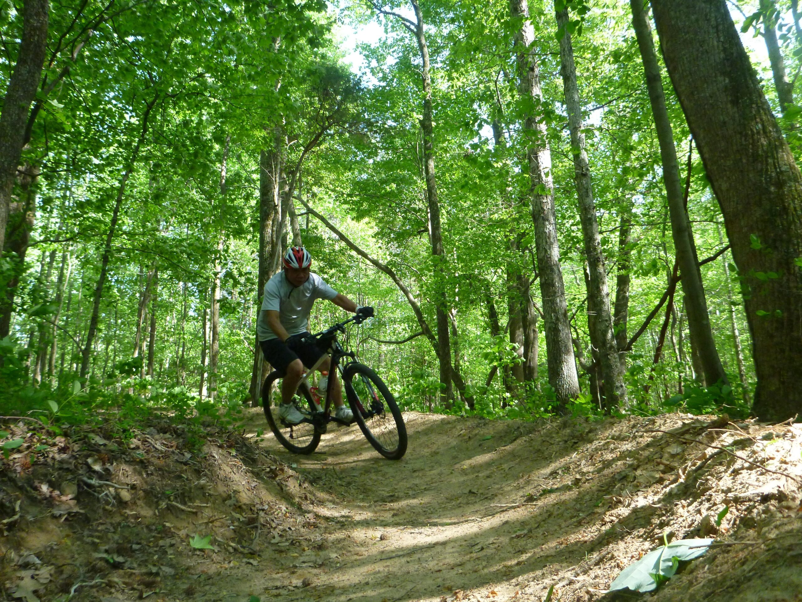 A cyclist riding a mountain bike on a dirt trail surrounded by lush green trees in a forested area. Sunlight filters through the leaves, creating a vibrant and natural setting. Kernersville MTB park mountain bike trail.