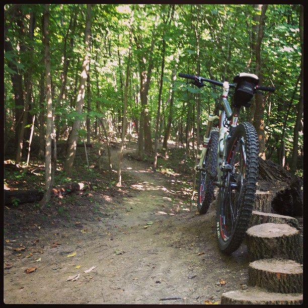 A mountain bike resting on a dirt path surrounded by lush green trees in a forest setting. Stumps can be seen in the foreground, adding to the natural ambiance of the trail.