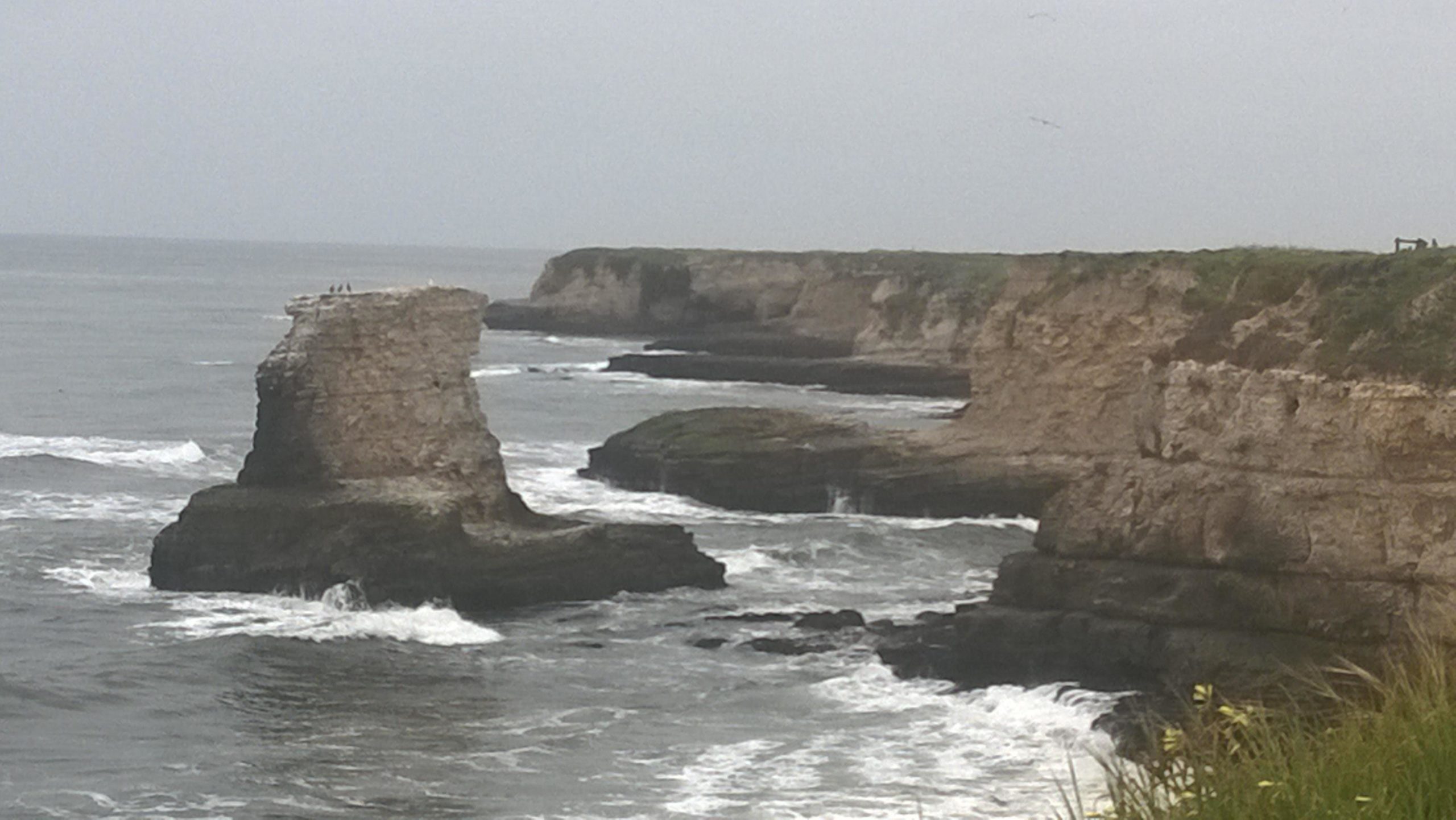A rocky coastline with waves crashing against the cliffs. A tall rock formation stands prominently in the foreground, with a few birds perched on top. The background features additional cliffs and a gray sky, creating a serene coastal scene. Wilder Ranch State Park mountain bike trail.