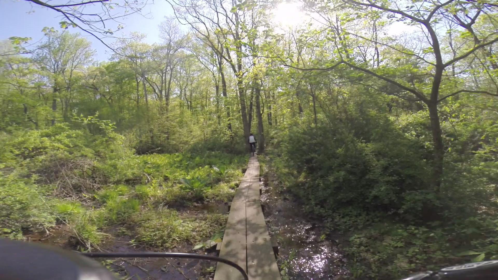 A person walking along a wooden boardwalk through a lush, green forest on a sunny day. The scene is filled with vibrant foliage, including trees and underbrush, alongside a small stream. Allamuchy Mt. State Park: Deer Park mountain bike trail.