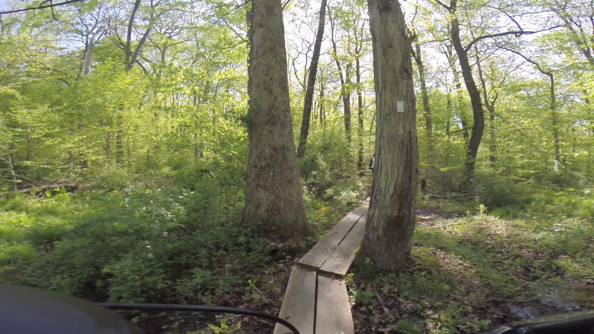 A narrow wooden boardwalk winding through a lush green forest, flanked by tall trees and dense foliage. Sunlight filters through the leaves, creating a dappled effect on the ground. Allamuchy Mt. State Park: Deer Park mountain bike trail.