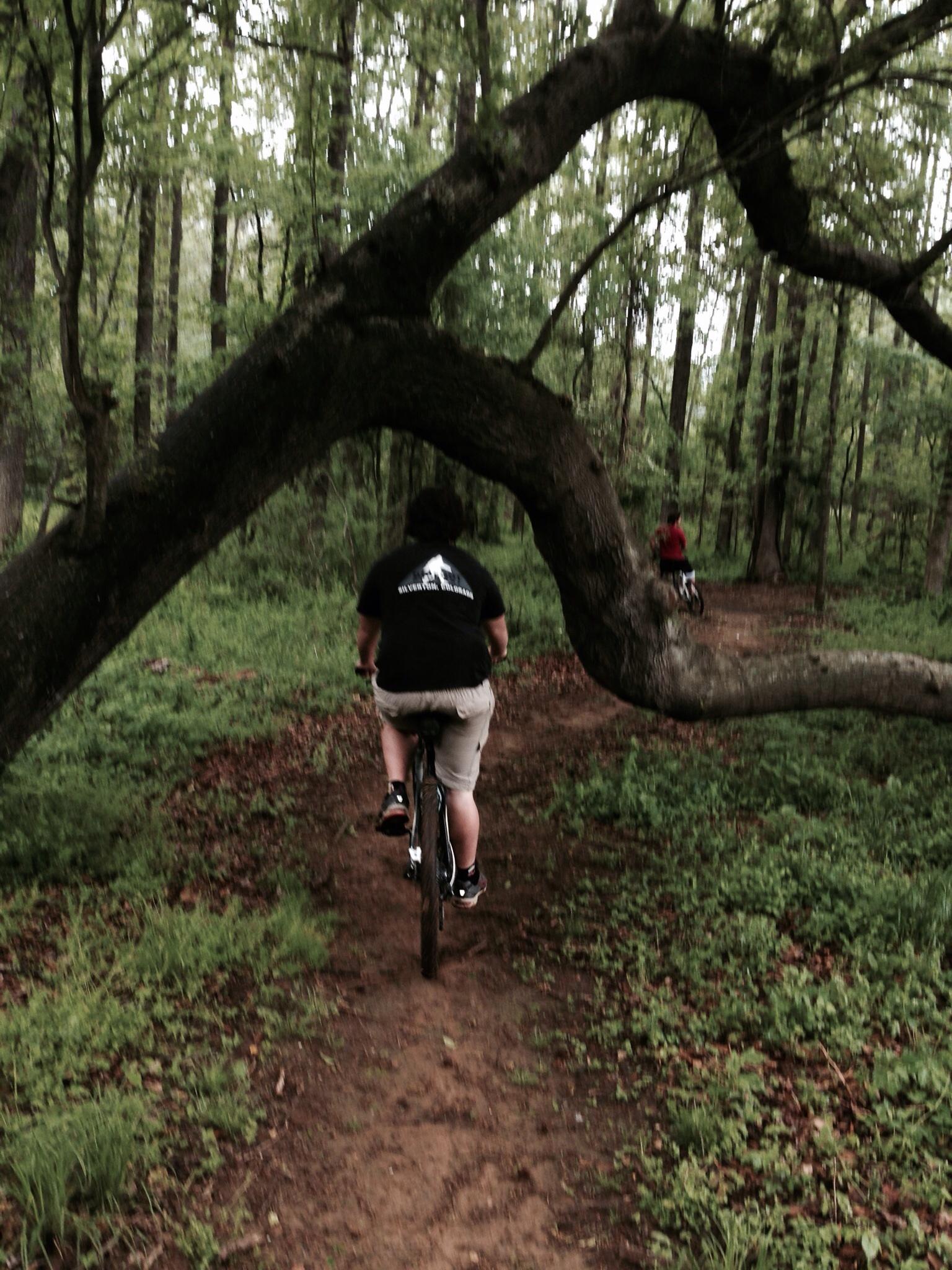 A person riding a bicycle along a dirt path in a lush green forest, with a large, low-hanging tree branch arching over the trail. Another cyclist can be seen in the background. Spadra Creek Nature Trail mountain bike trail.