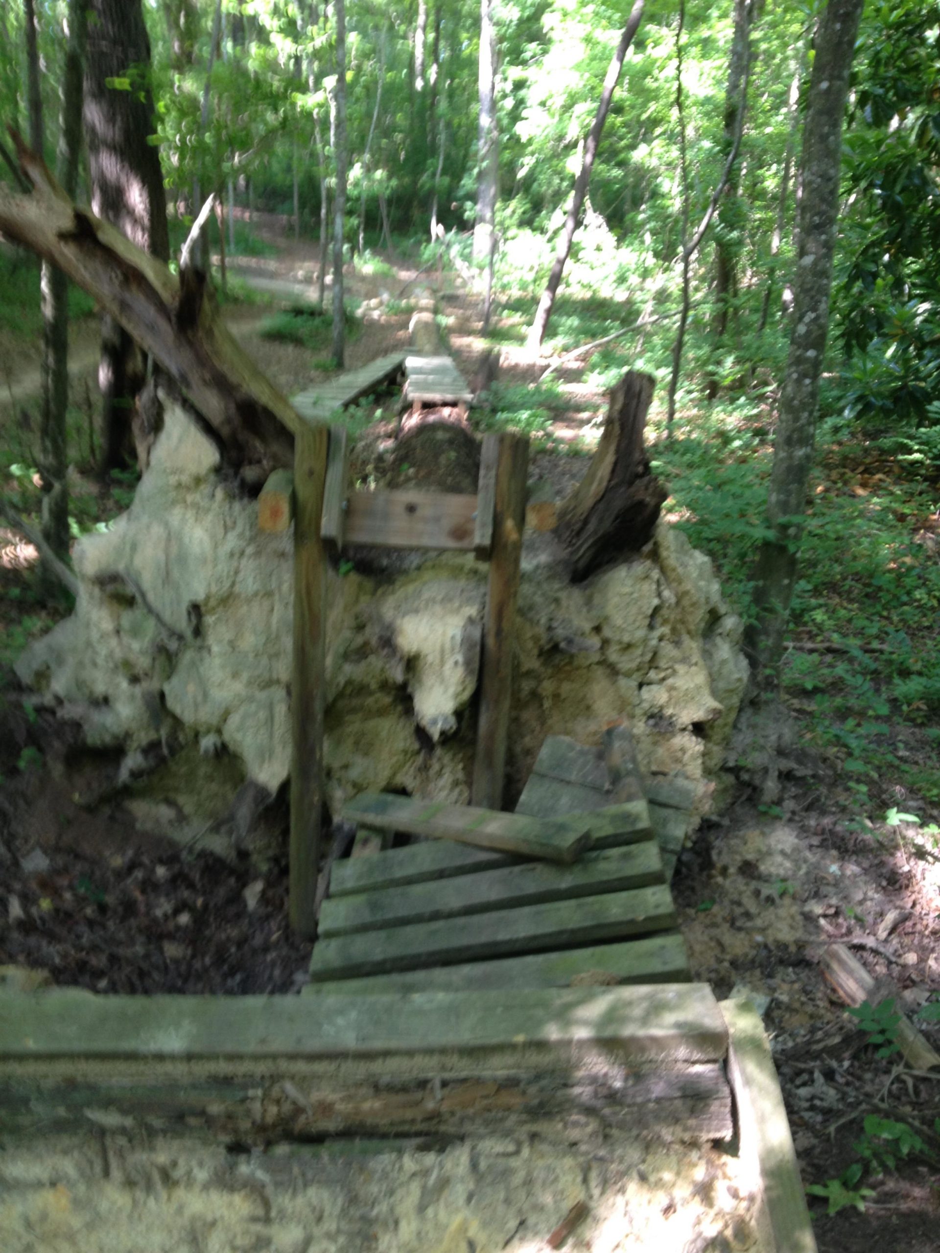 A rustic wooden structure built on a slope in a forested area. The image shows a series of wooden planks connecting to a slight elevation, surrounded by trees and lush greenery. The scene appears to be a pathway or bridge made from natural materials. Sherman Branch Park Mtb Trail mountain bike trail.