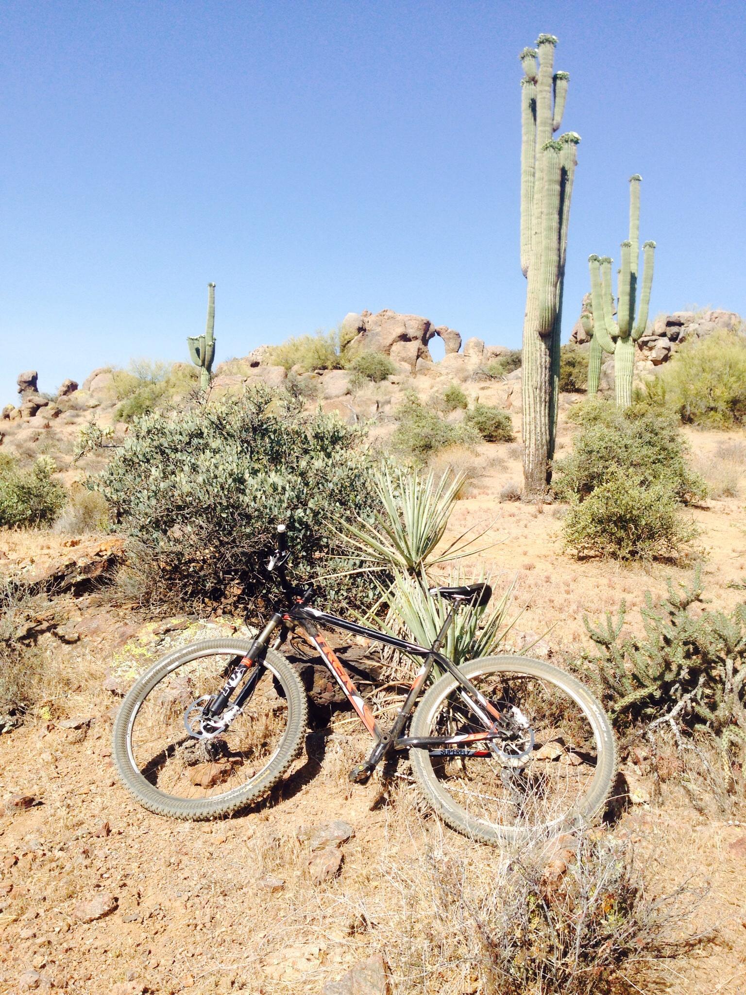A black mountain bike resting on a rocky desert landscape, surrounded by various cacti and shrubs under a clear blue sky. In the background, there are rocky formations, including an arch. Brown's Ranch to Granite Mountain mountain bike trail.