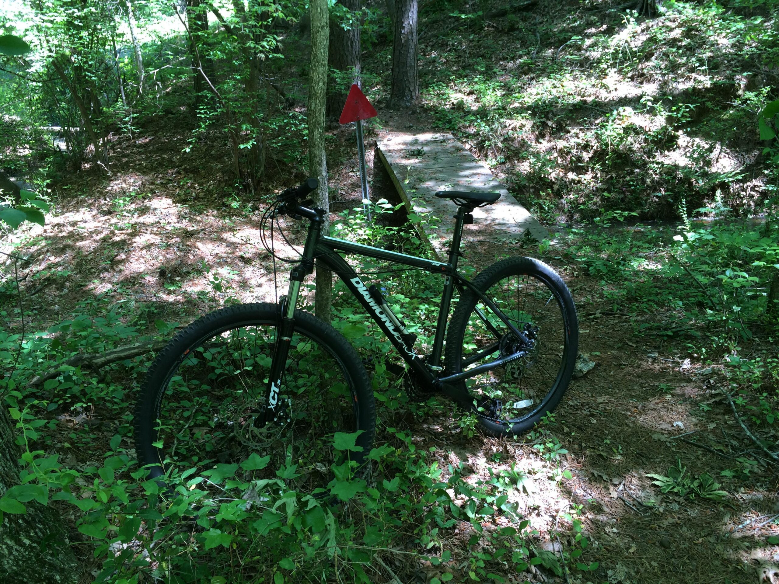 Diamondback Overdrive: A mountain bike leaning against a tree on a wooded trail, surrounded by lush green foliage and sunlight filtering through the trees. A red flag is visible in the background, indicating a trail marker.