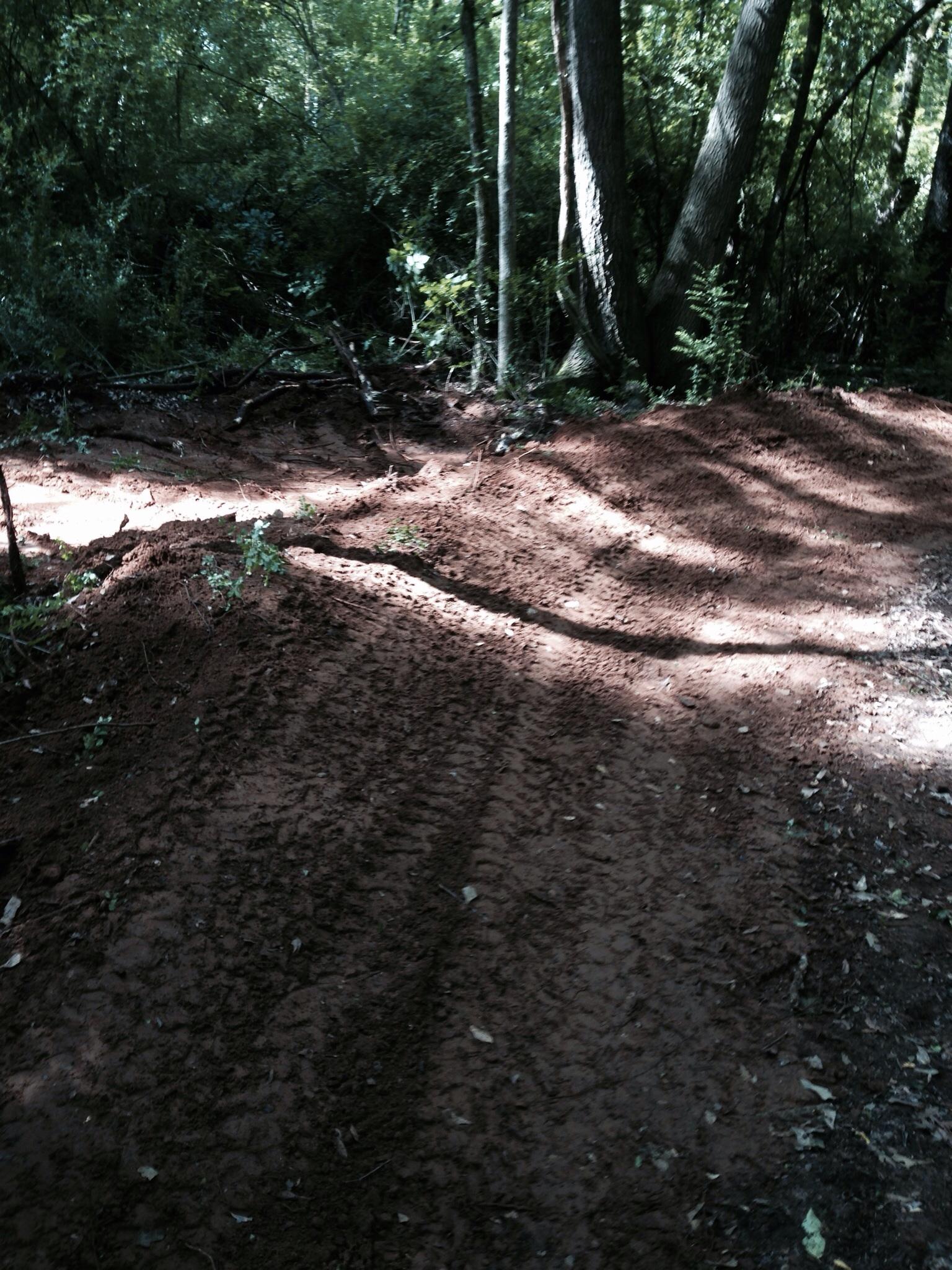 A forested area with freshly disturbed red soil, showcasing tire tracks and shadows from surrounding trees. Small plants and leaves can be seen emerging from the soil, indicating recent activity in this natural setting. Spadra Creek Nature Trail mountain bike trail.