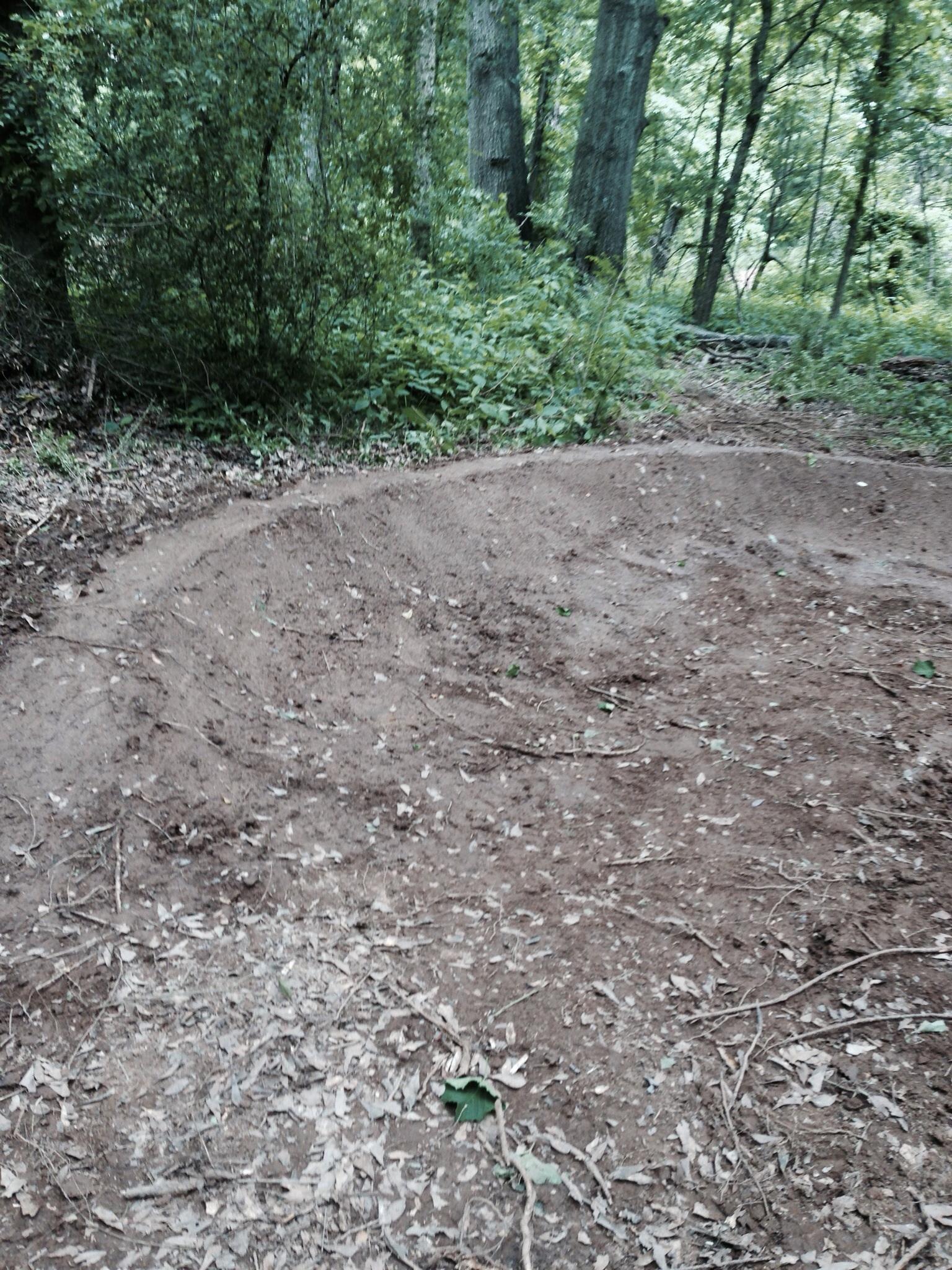 A dirt path curving through a dense forest, surrounded by green foliage and trees. The ground is bare with some scattered leaves and branches, indicating recent activity in the area. Spadra Creek Nature Trail mountain bike trail.