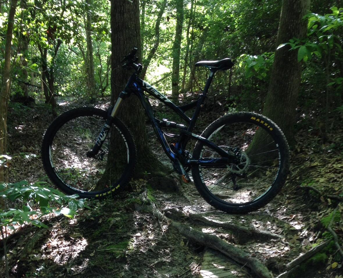 Yeti SB-75: A mountain bike leaning against a tree on a wooded trail, surrounded by greenery and dappled sunlight filtering through the leaves.