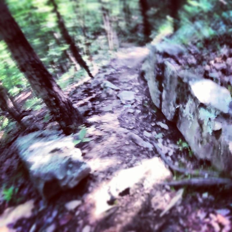 A blurry image of a dirt hiking trail winding through a dense forest, flanked by trees and large rocks. The scene conveys a sense of natural wilderness and adventure. Oak Mountain State Park mountain bike trail.