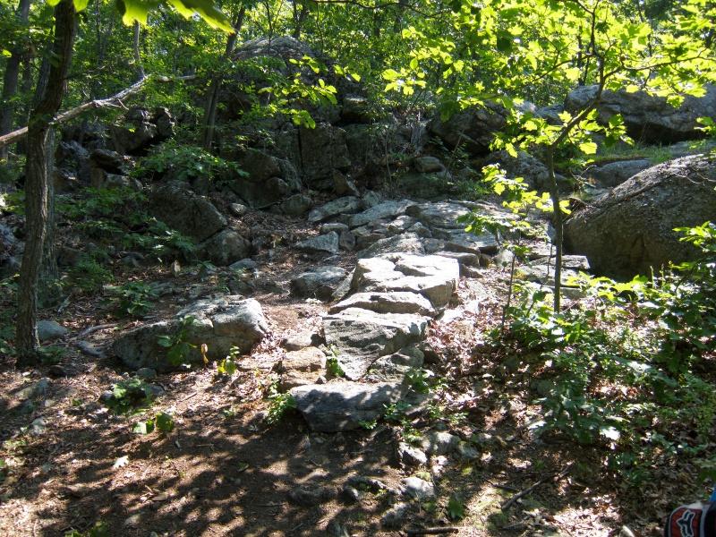 A rocky path winding through a green forest, surrounded by trees and scattered boulders. Sunlight filters through the leaves, casting dappled shadows on the ground. Allamuchy State Park-North mountain bike trail.