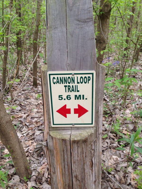 Sign indicating the Cannon Loop Trail, measuring 5.6 miles, with arrows pointing left and right, attached to a wooden post in a forested area. Indian Camp Creek mountain bike trail.