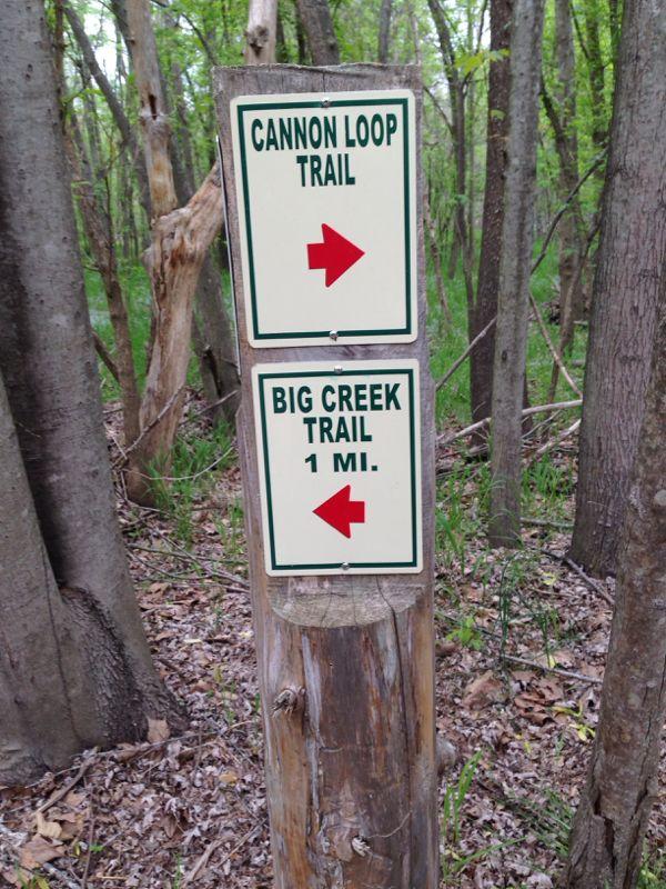 Signpost displaying trail directions in a forested area, indicating the paths for Cannon Loop Trail to the right and Big Creek Trail, which is 1 mile to the left. Indian Camp Creek mountain bike trail.