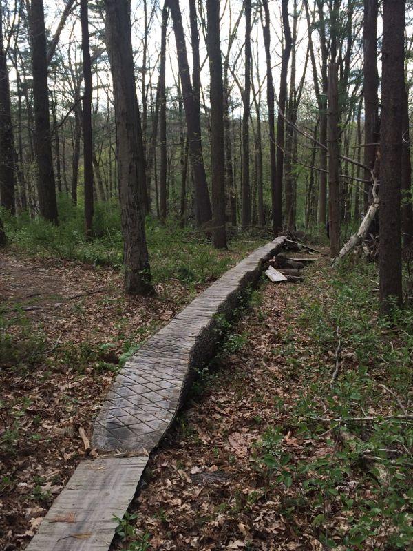 A winding wooden pathway through a forest with tall trees and lush green underbrush, scattered with fallen leaves. The path is slightly raised and bordered by sections of wood, leading deeper into the natural surroundings. Nassau Trails mountain bike trail.