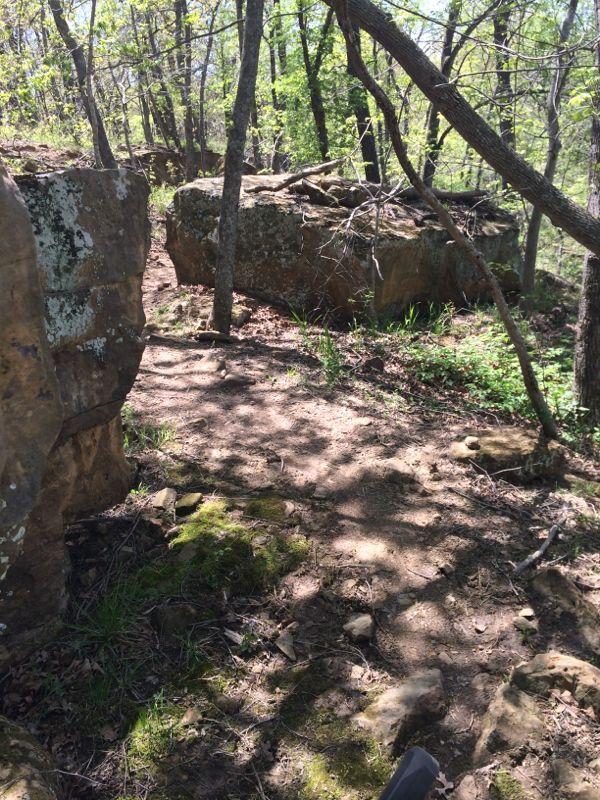 A forest trail winding between large rocks and trees, with patches of sunlight filtering through the leaves. The ground is covered in dirt and moss, indicating a natural, rustic environment. Badger Creek North Trail mountain bike trail.