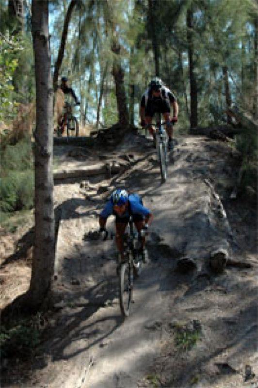 Three mountain bikers navigating a rugged trail in a forested area, with one cyclist in the foreground leaning into a turn while the others ride in the background. The trail is uneven with dirt, rocks, and small trees surrounding the path. Markham Park mountain bike trail.