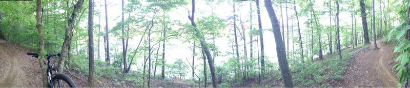 A panoramic view of a wooded area, featuring tall trees with green foliage and a dirt path that winds through the forest. A mountain bike is positioned to the left of the image, suggesting an outdoor biking trail. The scene conveys a serene and natural environment. Blankets Creek mountain bike trail.
