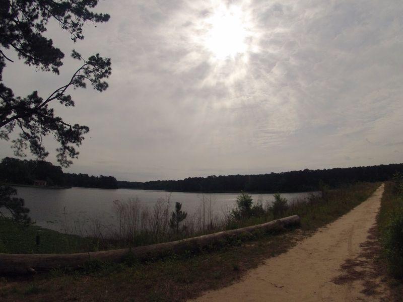 A serene lakeside view featuring a sandy path winding alongside the water. The scene is illuminated by a cloudy sky with the sun peeking through. Lush trees and tall grasses frame the lake, creating a peaceful natural setting. Huntsville State Park mountain bike trail.