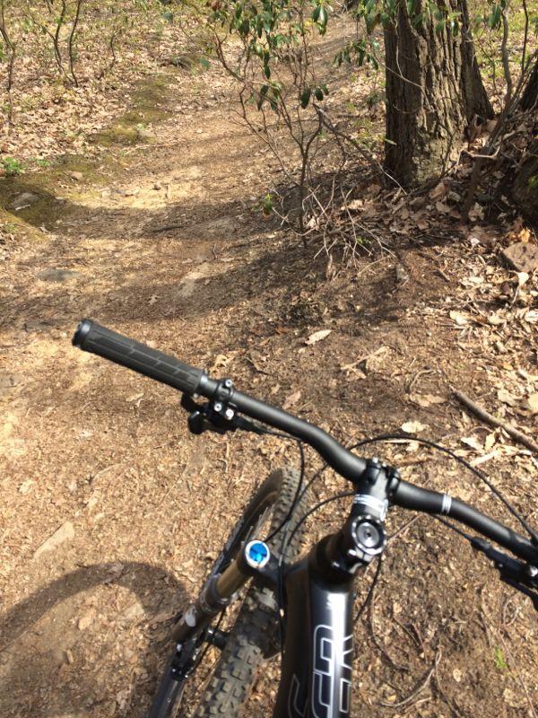 Image showing the handlebars of a mountain bike, with a winding dirt trail visible in the background surrounded by trees and fallen leaves. Hartshorne Woods Park mountain bike trail.
