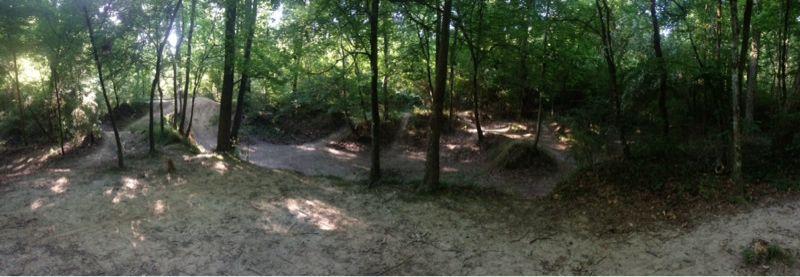 A panoramic view of a wooded area featuring dirt bike trails and jumps surrounded by trees. The ground is sandy and uneven, creating an inviting setting for outdoor biking activities. Sunlight filters through the leaves, illuminating the natural landscape. Comite Trails mountain bike trail.