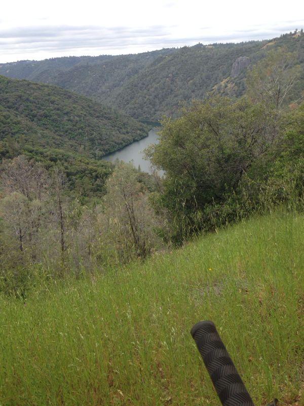 A scenic view of a winding river surrounded by lush green hills and trees, with a foreground of tall grass and shrubbery. The sky is overcast, adding a serene atmosphere to the landscape. Clementine / Forresthill Connector Trail mountain bike trail.