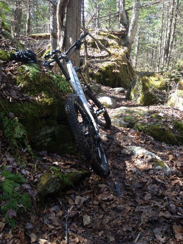 A mountain bike leaning against a moss-covered rock on a forest trail, surrounded by fallen leaves and trees. Sunlight filters through the foliage, illuminating the rugged terrain. Tucker