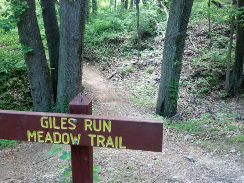 Signpost marking the entrance to the Giles Run Meadow Trail, surrounded by lush green trees and a winding dirt path. Laurel Hill Park mountain bike trail.