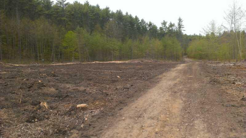 Cleared land with exposed soil and cut trees on one side, leading to a dirt path, bordered by a forest of green trees on the other side. Bear Brook mountain bike trail.