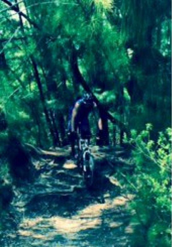 A mountain biker riding on a rocky trail surrounded by dense greenery, with trees and foliage in the background. Oleta River State Park mountain bike trail.