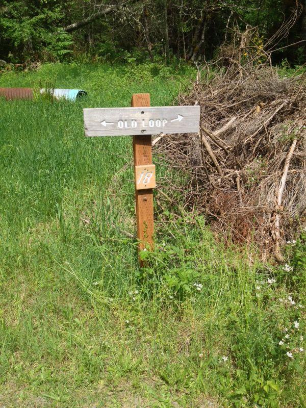 A wooden signpost labeled "OLD LOOP" with arrows pointing in opposite directions, situated in a grassy area with bushes in the background. Below the sign, there is a smaller wooden plaque with the number "18." Foothills Trail mountain bike trail.