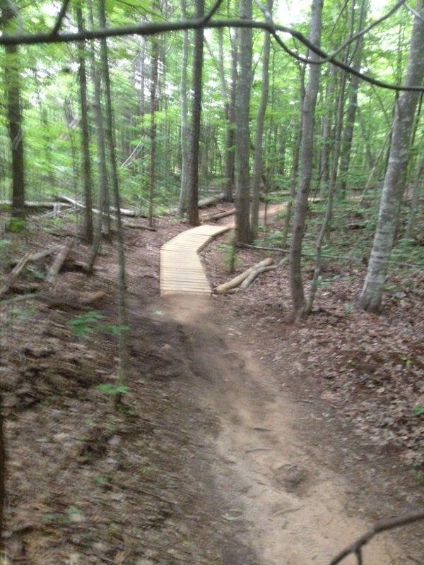 A winding dirt path through a dense forest, featuring a wooden plank bridge that curves slightly to the right. The path is surrounded by lush green trees and undergrowth, with fallen branches and leaves scattered along the ground. The overall atmosphere is serene and natural, inviting outdoor exploration. Colonel Francis Beatty Park mountain bike trail.