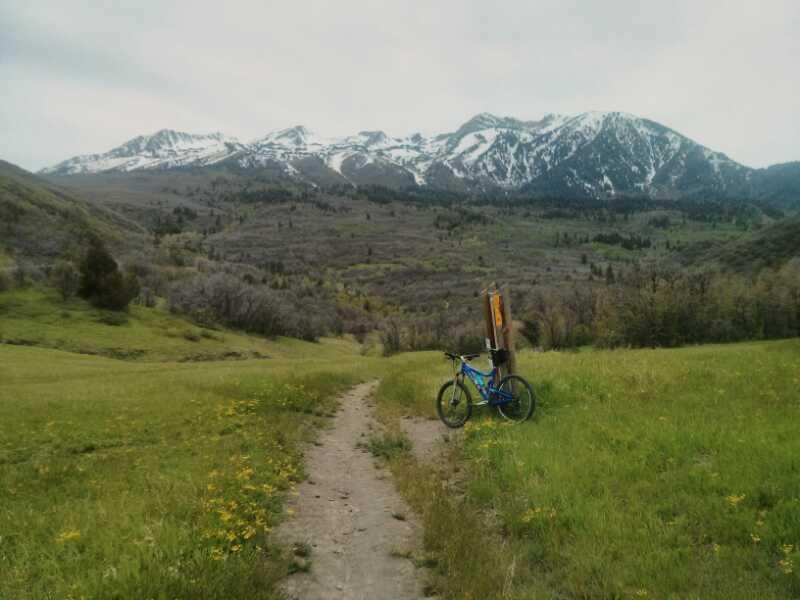 A mountain bike resting on a dirt trail in a lush green valley, with snow-capped mountains in the background under an overcast sky. Wildflowers are scattered across the open grassland, and a wooden signpost is visible nearby. Snowbasin Resort mountain bike trail.