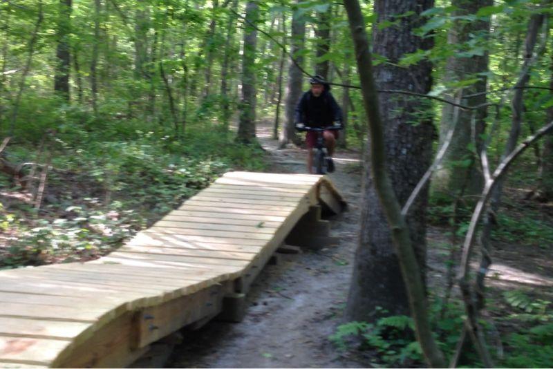 A cyclist riding on a wooden bridge along a forest trail, surrounded by greenery and trees. Colonel Francis Beatty Park mountain bike trail.