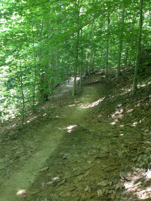 A winding dirt path through a lush green forest, surrounded by trees and sunlight filtering through the leaves. The trail curves gently, with some sections covered in fallen leaves. Meadowood mountain bike trail.