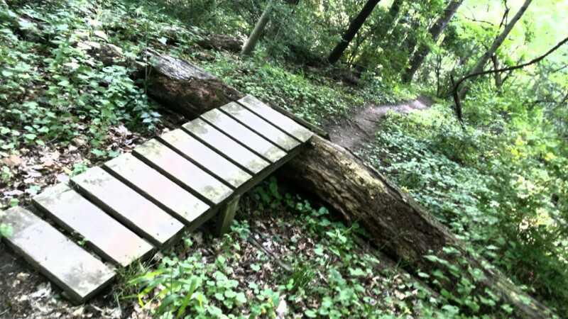 A wooden footbridge over a fallen log, surrounded by lush greenery and vegetation in a forested area. A narrow dirt path is visible in the background, indicating a trail through the woods. Harbin park mountain bike trail.