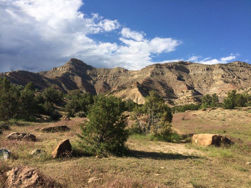 A scenic view of rugged mountains under a blue sky with white clouds, featuring a landscape of grassy areas and scattered rocks in the foreground, surrounded by patches of trees. 18 Road Trails / North Fruita Desert mountain bike trail.
