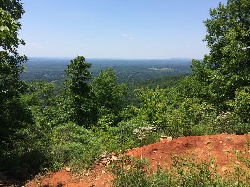 A scenic view from a mountain overlook, showcasing a landscape of rolling green hills beneath a clear blue sky. Lush trees and vegetation frame the foreground, while a distant horizon stretches out in the background, indicating a peaceful and natural environment. Coldwater Mountain mountain bike trail.