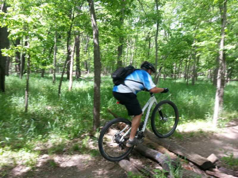 A mountain biker demonstrating a jump over a wooden log on a trail surrounded by lush green trees and grass in a forested area. The Center Trails mountain bike trail.