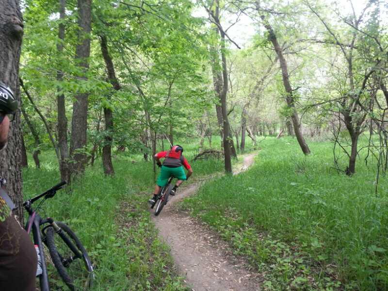 A mountain biker in a red shirt and green shorts rides down a narrow dirt trail in a lush forest, surrounded by green grass and trees. In the foreground, another cyclist stands near their bike, observing the trail. The scene captures the vibrant greenery of the landscape and the excitement of outdoor biking. The Center Trails mountain bike trail.